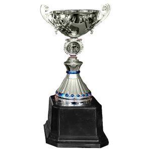 Copa VIC