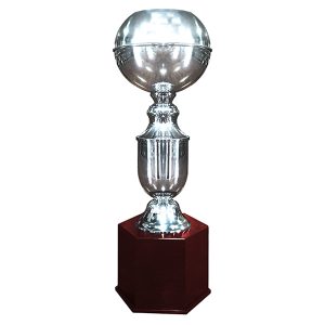 Copa Alemania 217
