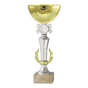Copa BLAS  7