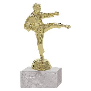 Trofeo Plástico Karate Masculino (143)