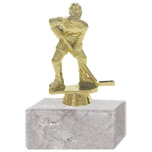 Trofeo Plástico Hockey Hielo Masculino (173)