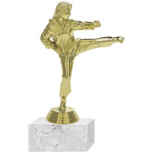 Trofeo Plástico Karate Femenino 2 (198)