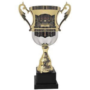 Copa 2006
