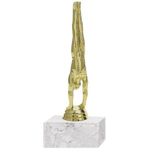 Trofeo Plástico Gimnasia Hombre (204)