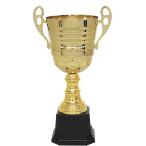 Copa 2103