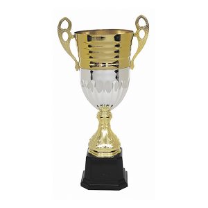 Copa 2104