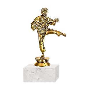 Trofeo Plástico FR Karate Grande (328)