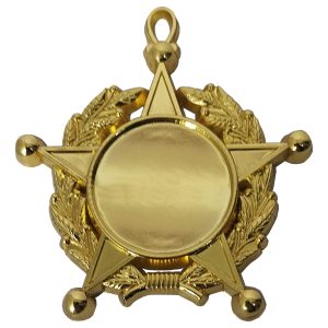 Medalla Condecoración de Fierro Estrella Laurel CON02