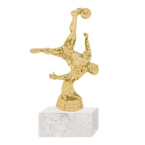 Trofeo Plástico Fútbol Chilena (108)