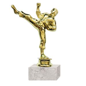 Trofeo Plástico Artes Marciales RP-8015 (67)