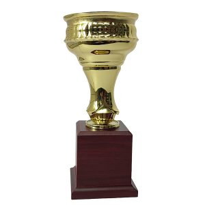 Copa CP21