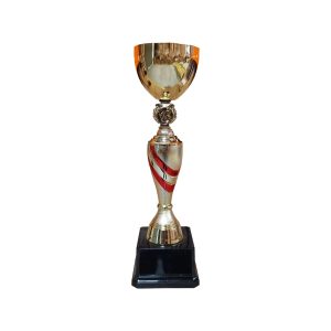 Copa DAN